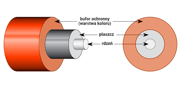 Budowa włókna światłowodowego
